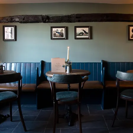 The Plume Of Feathers-3