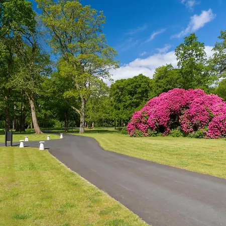 Tyrrells Park-3