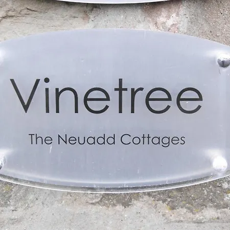 Neuadd B&B Suites-2