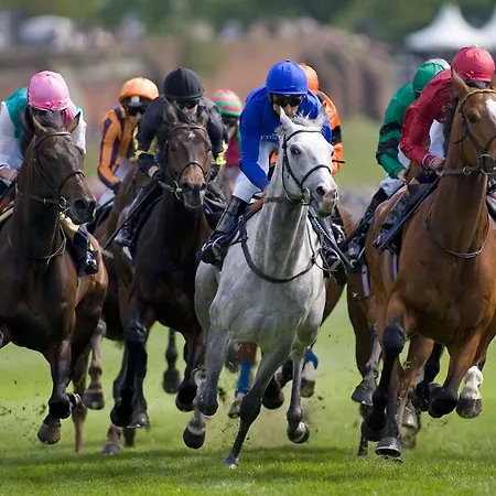 Holiday Inn Express, Chester Racecourse By Ihg-2