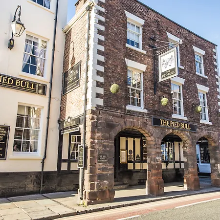 The Pied Bull-2
