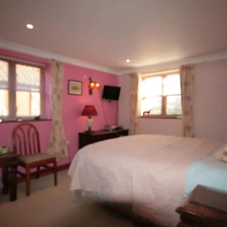 Great Danes Licenced Guesthouse-3