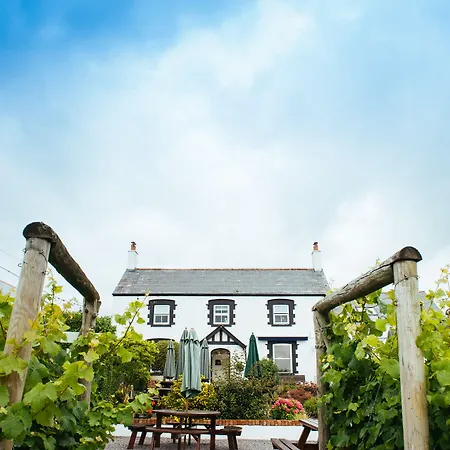 Llanerch Vineyard Hotel-3