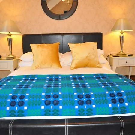 Llety Teifi Guesthouse-2