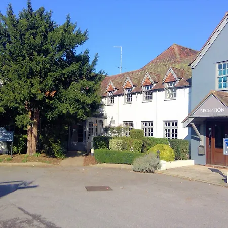 The White Swan-2