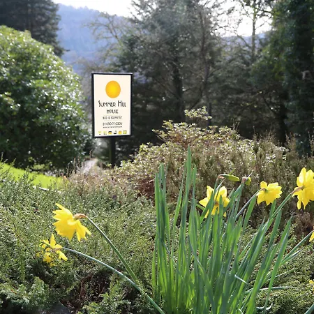 Summerhill Guest House-3
