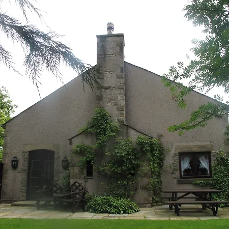 Gibbon Bridge Hotel-3
