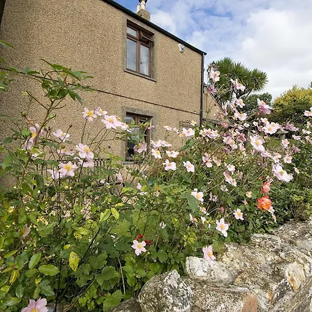 Tregondale Manor Farm-3
