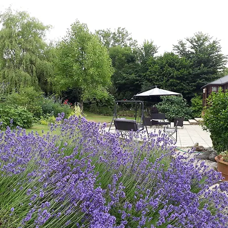 Stoneleigh Barn Bed And Breakfast-3