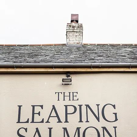The Leaping Salmon-3