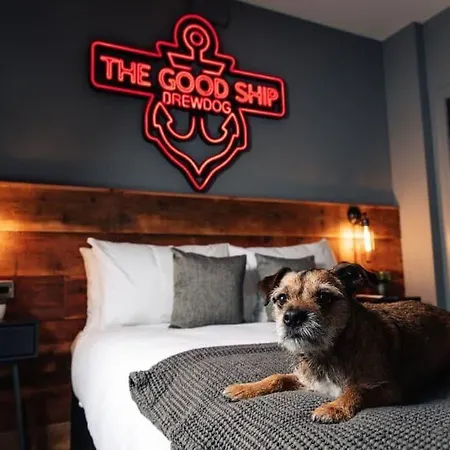 Brewdog Kennels - Aberdeen-3