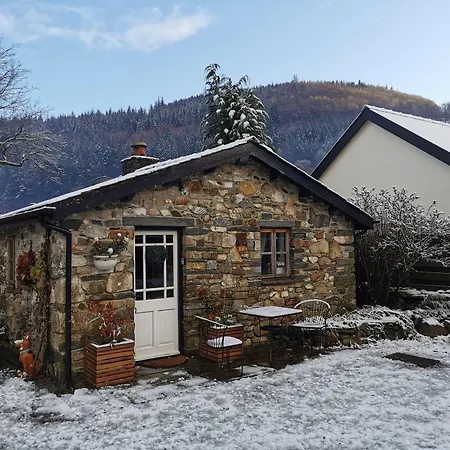 Dolweunydd Bed And Breakfast-2