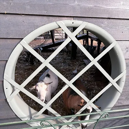 Willow Court Farm-Studio North & Petting Farm, 8 Mins From Legoland & Windsor, 15 Mins From Lapland Uk-2