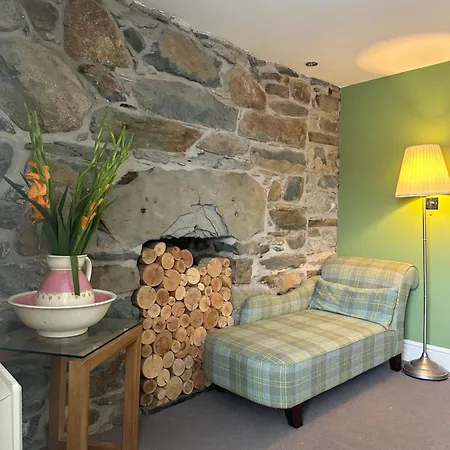 Y Meirionnydd Boutique Hotel-3
