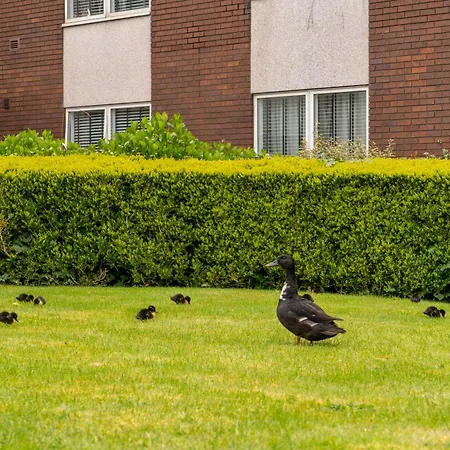 Daresbury Park Hotel-3
