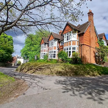 Tree Hotel At Iffley-2