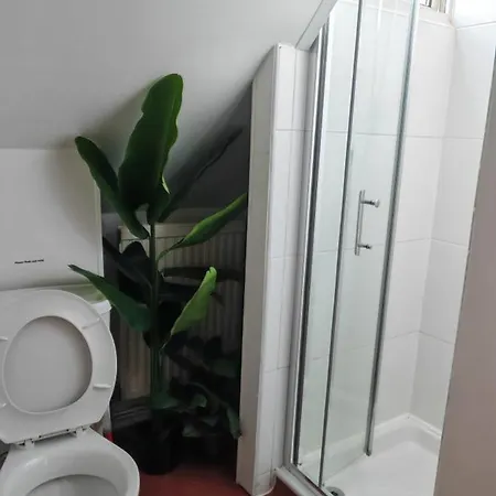 Maindee Guest House-3