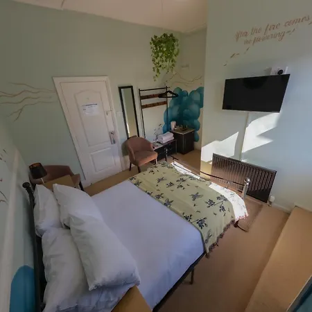 The Sheldon B&B-3