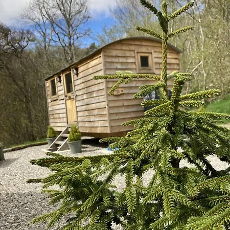 Highland Bear Lodge & Woodland Bear Huts-2