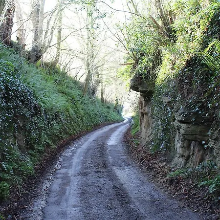Cherrybrook-2