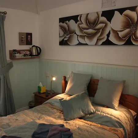 Devon View Guesthouse Swansea-3