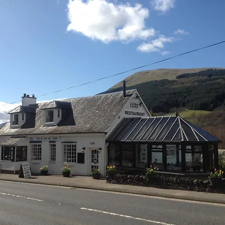 The Golden Larches-2