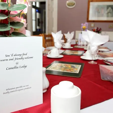 Camellia Lodge Guest House-2