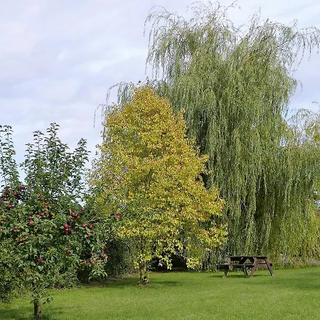 The Willows-3