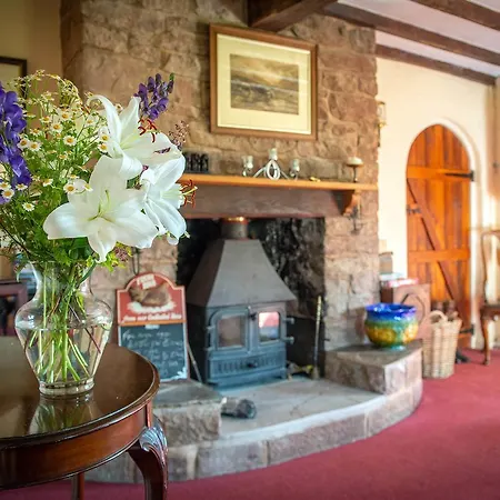 The Dinney B&B-3