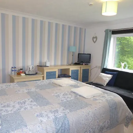 Neuadd Wen Guest House-3