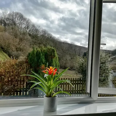 Neuadd Wen Guest House-2