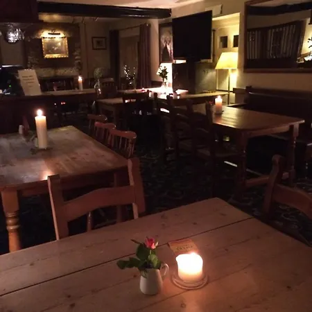 Linnaea Rooms - To The Rear Of Radnor Arms-2