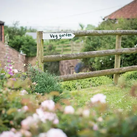Huntstile Organic Farm-2