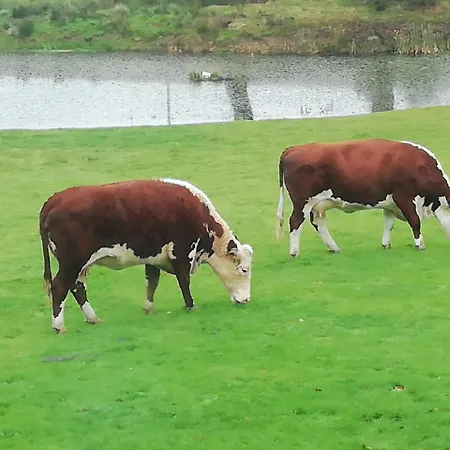 Rectory Farm-3