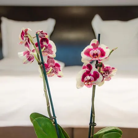 Hotel Felix-2