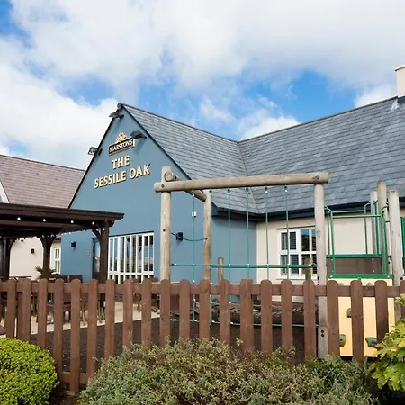 Sessile Oak, Llanelli By Marston'S Inns-3