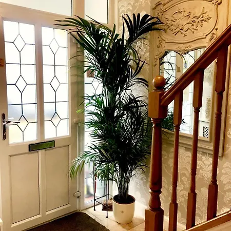 Sw Bed & Breakfast-3