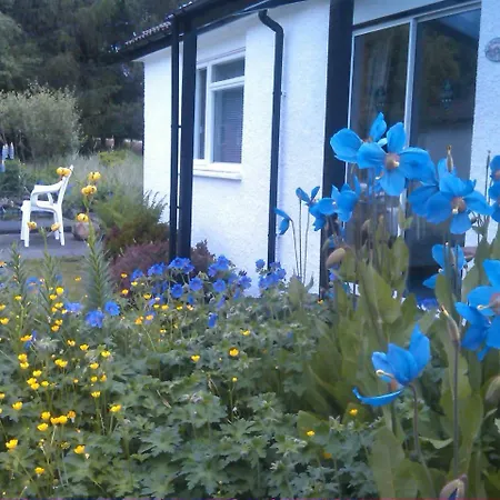 Dalkell Cottages-2