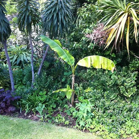 Palm Grove-3