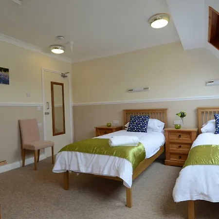 Neuadd Henllan Lodge-3