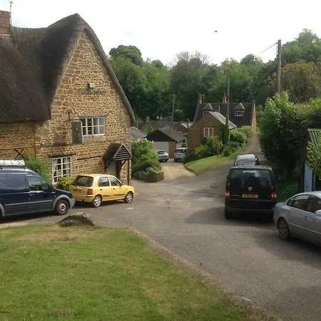 Stag'S Head-2