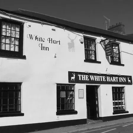White Hart Inn-2