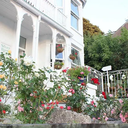 Silver Birch Guesthouse-3