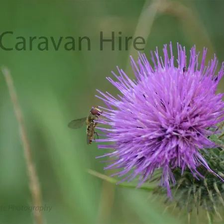 3 Bedroom At Seton Sands Caravan Hire-2