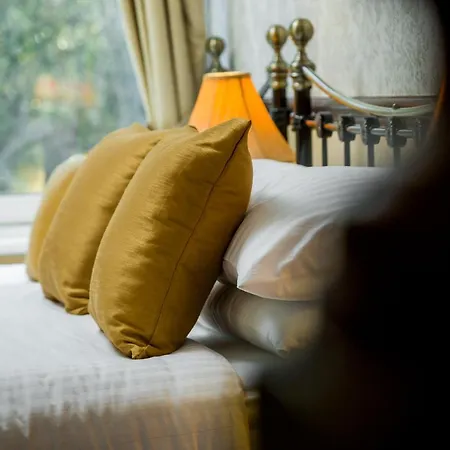 Brookfield B&B Guest House-3