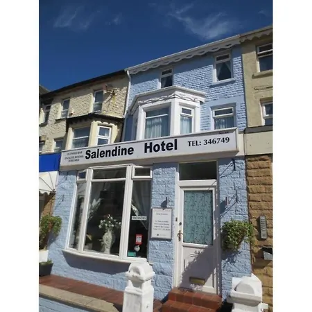 The Salendine-2
