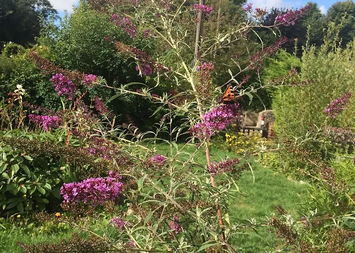 Fern Cottage Piddletrenthide