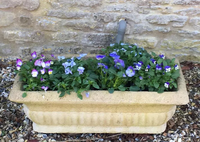 The Long House Bed & Breakfast Cirencester