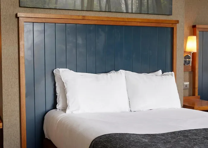 White Rabbit By Chef & Brewer Collection Hotel Lyndhurst