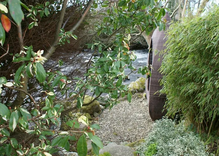 Talybont Bed And Breakfast Barmouth
